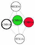 view graph image