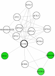 view graph image