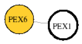 view graph image