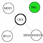view graph image