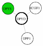 view graph image