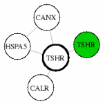 view graph image