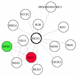 view graph image