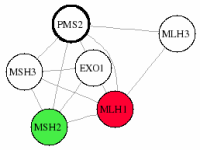 view graph image