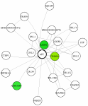 view graph image