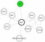 view graph image