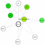view graph image