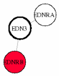view graph image