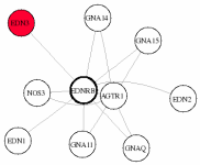 view graph image