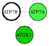 view graph image