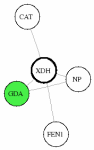 view graph image