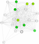 view graph image