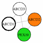 view graph image