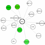 view graph image