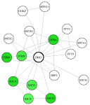 view graph image
