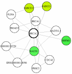 view graph image