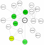 view graph image