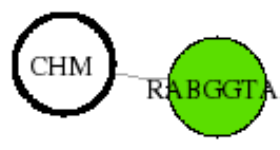 view graph image