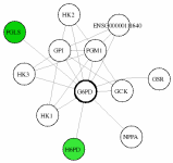 view graph image