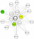 view graph image