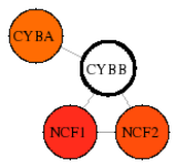 view graph image