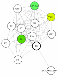 view graph image
