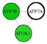 view graph image