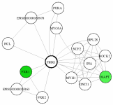 view graph image