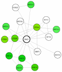 view graph image