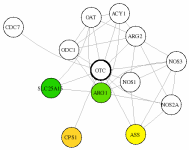 view graph image