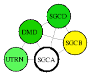 view graph image