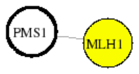 view graph image