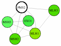 view graph image