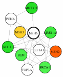 view graph image