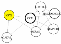 view graph image
