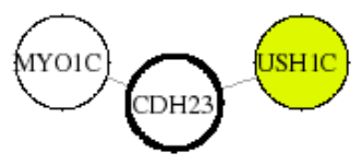 view graph image