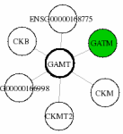 view graph image