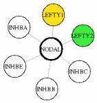 view graph image