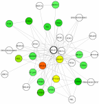 view graph image