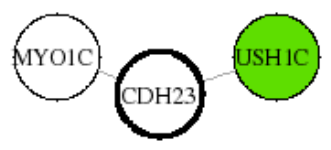 view graph image