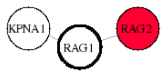 view graph image