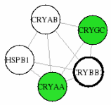 view graph image