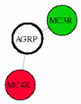 view graph image