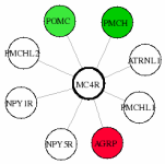 view graph image