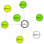 view graph image