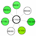 view graph image