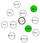 view graph image