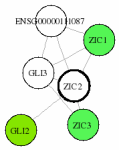 view graph image