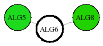 view graph image