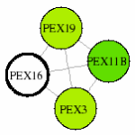 view graph image
